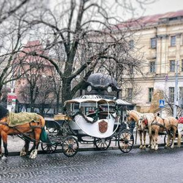 Honeymoon - Horse drawn carriage tour of the island