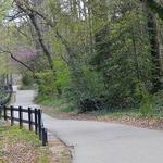 Swamp Rabbit Trail