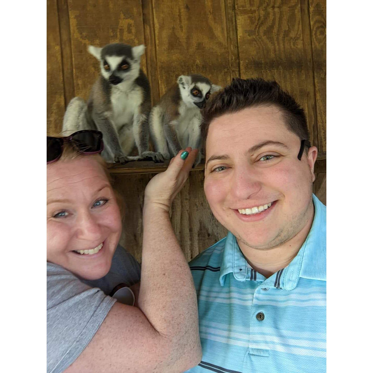 A bucket list experience for us both, feeding ring-tailed lemurs