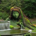 Atlanta Botanical Garden