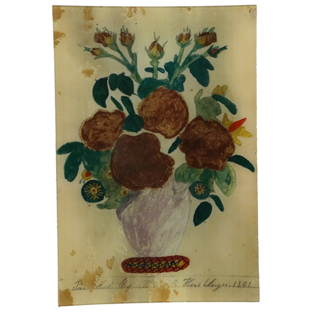 Hershberger Tray