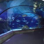 Omaha's Henry Doorly Zoo and Aquarium