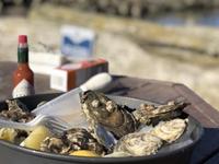 Taylor Shellfish Farms