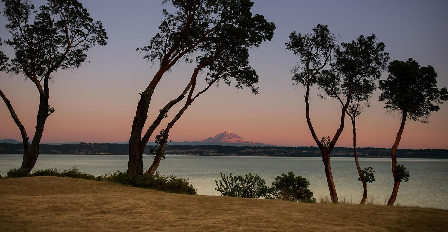 The Wedding Website of Jamie Alexandra Fairbanks and Paimon Shepard Jaberi