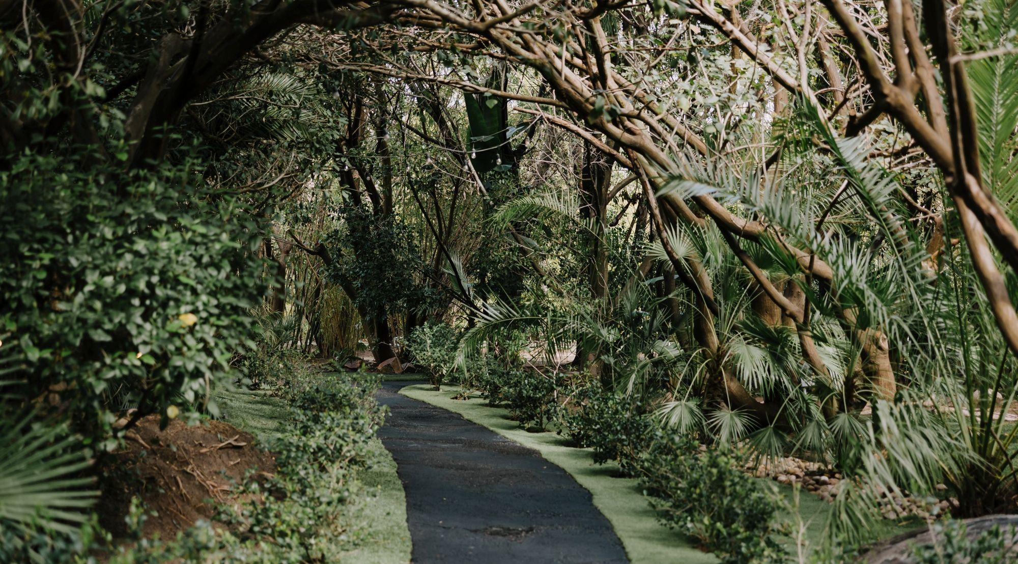 The Wedding Website of Rachel Sanacora and Malik Marshall