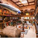 Bishop Museum