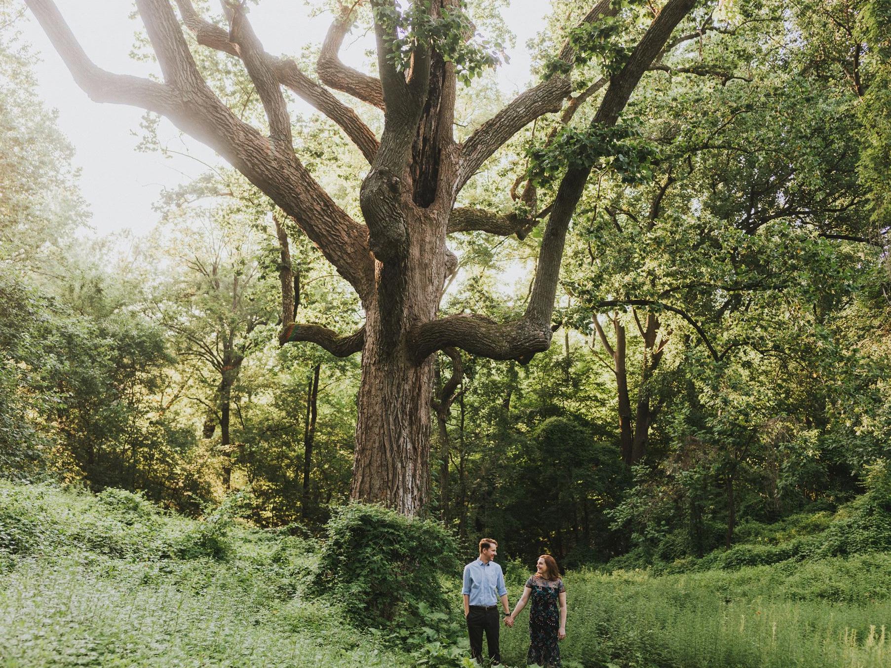 The Wedding Website of Hayley Evans and Alex Booker