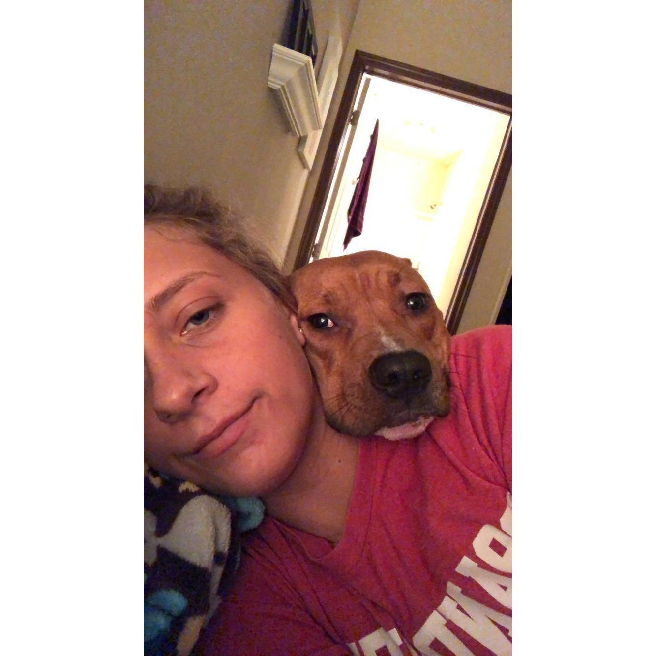 Meet Reid: Reid is our pit bull terrier mix we got around August of 2018.  He was a year and a half old when we got him and he is the most amazing snuggler!  He is Dylan's boy for sure.