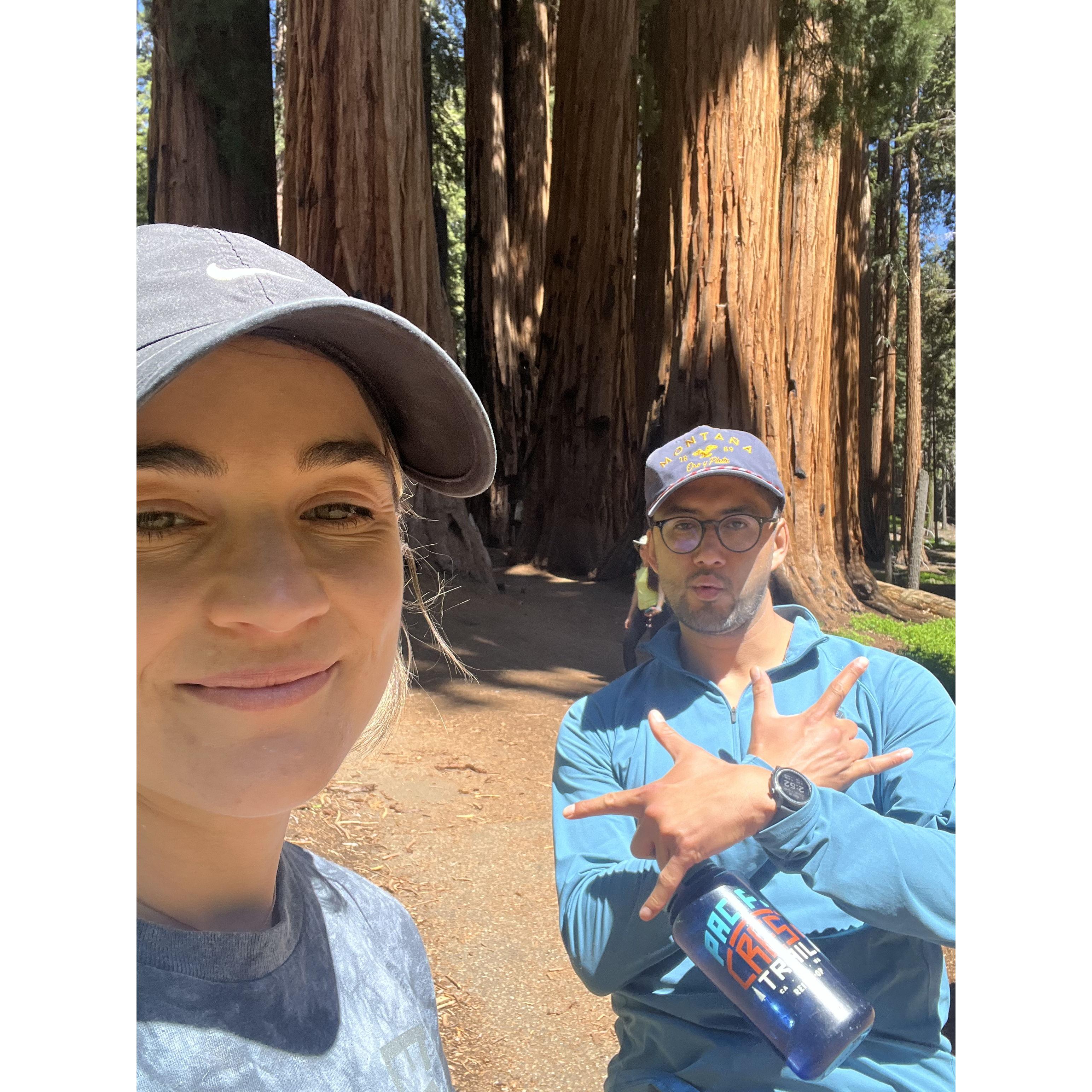Sequoia National Park