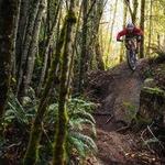 Galbraith Mountain Trails