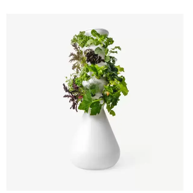 Lettuce Grow Hydroponic Garden