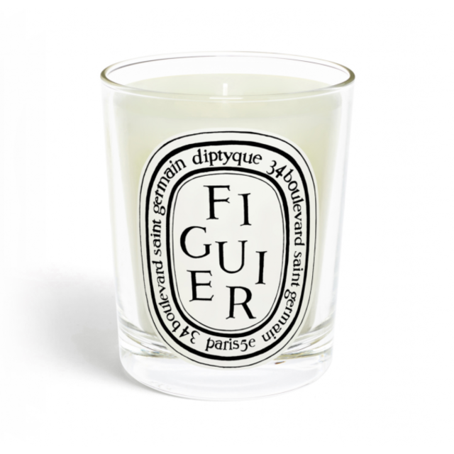 Figuier / Fig tree candle