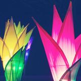 Chicago Botanic Garden Lightscape
