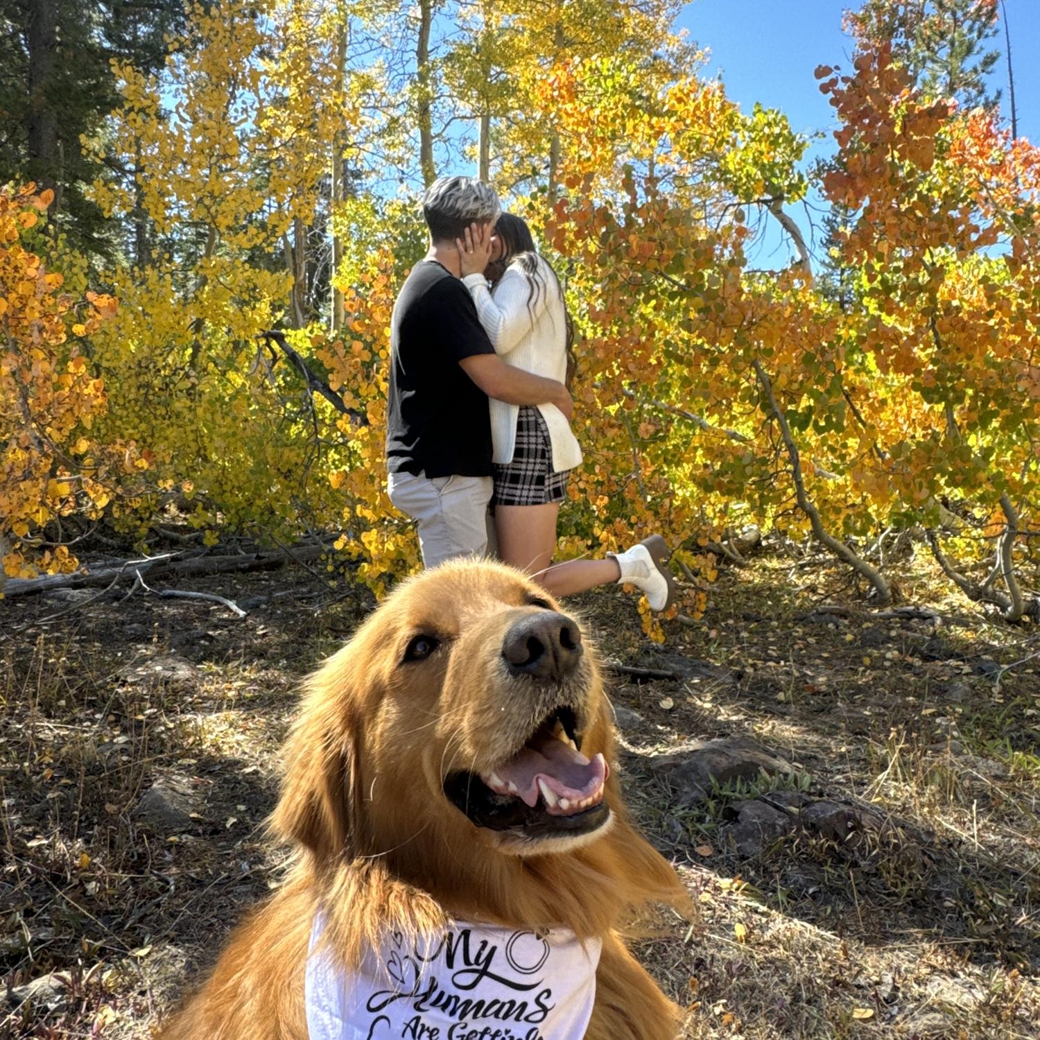 right after Trev proposed