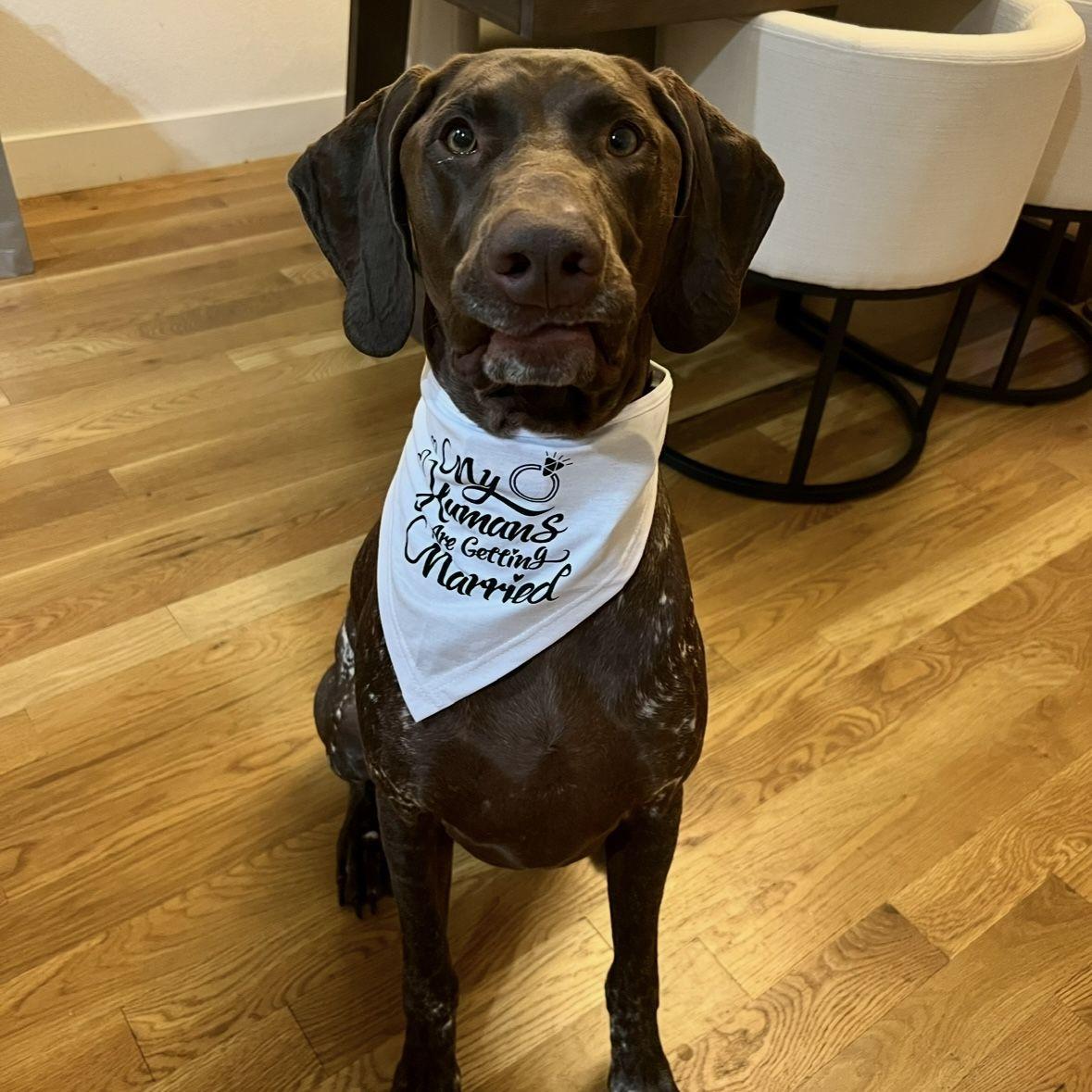 Gunson so excited that his parents are getting married!