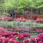 Callaway Gardens