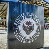 The Berry Farms