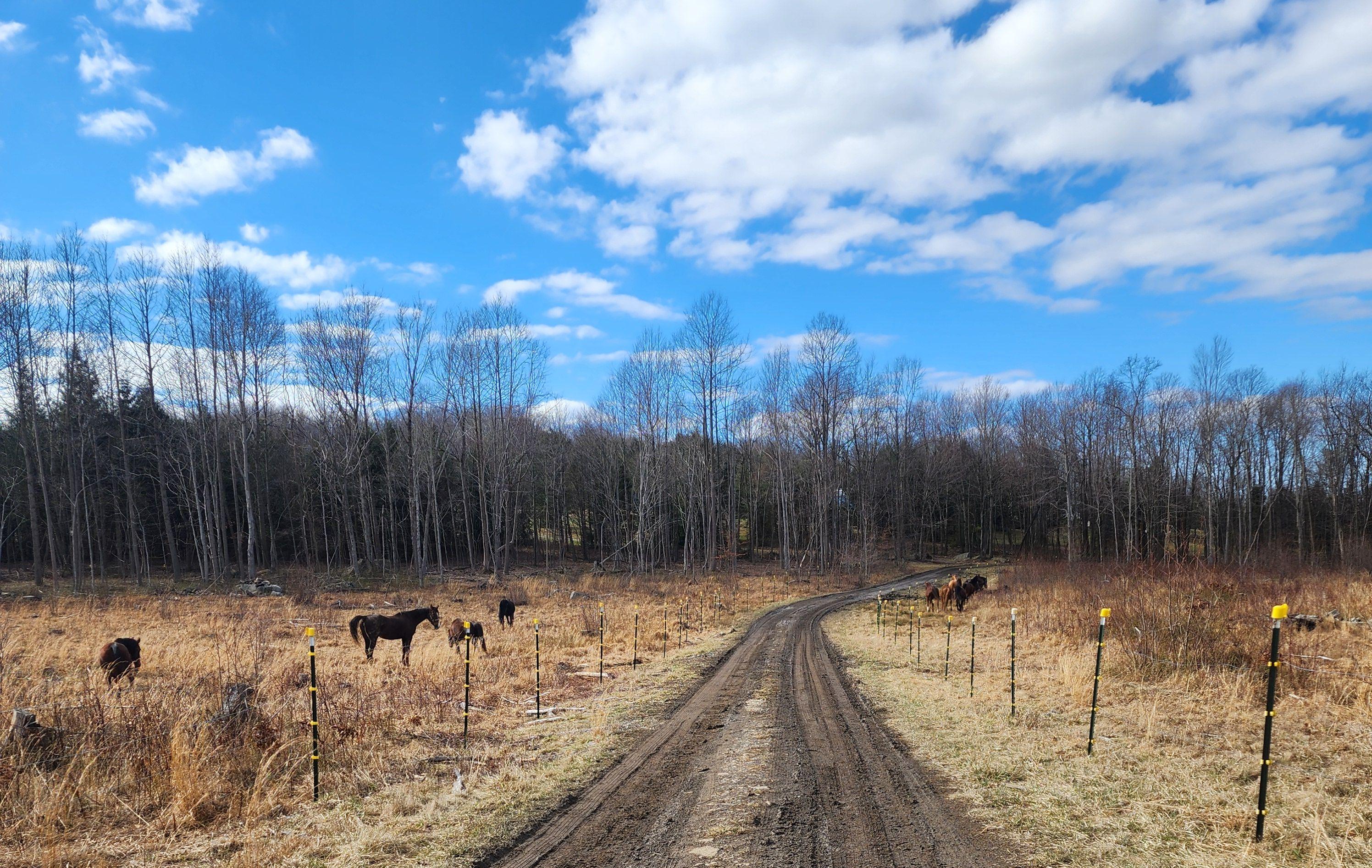 307f4e76-18ea-4fe9-a465-67a256c57c02