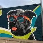 Omaha Dog Bar