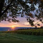 Seneca Lake Wine Trail