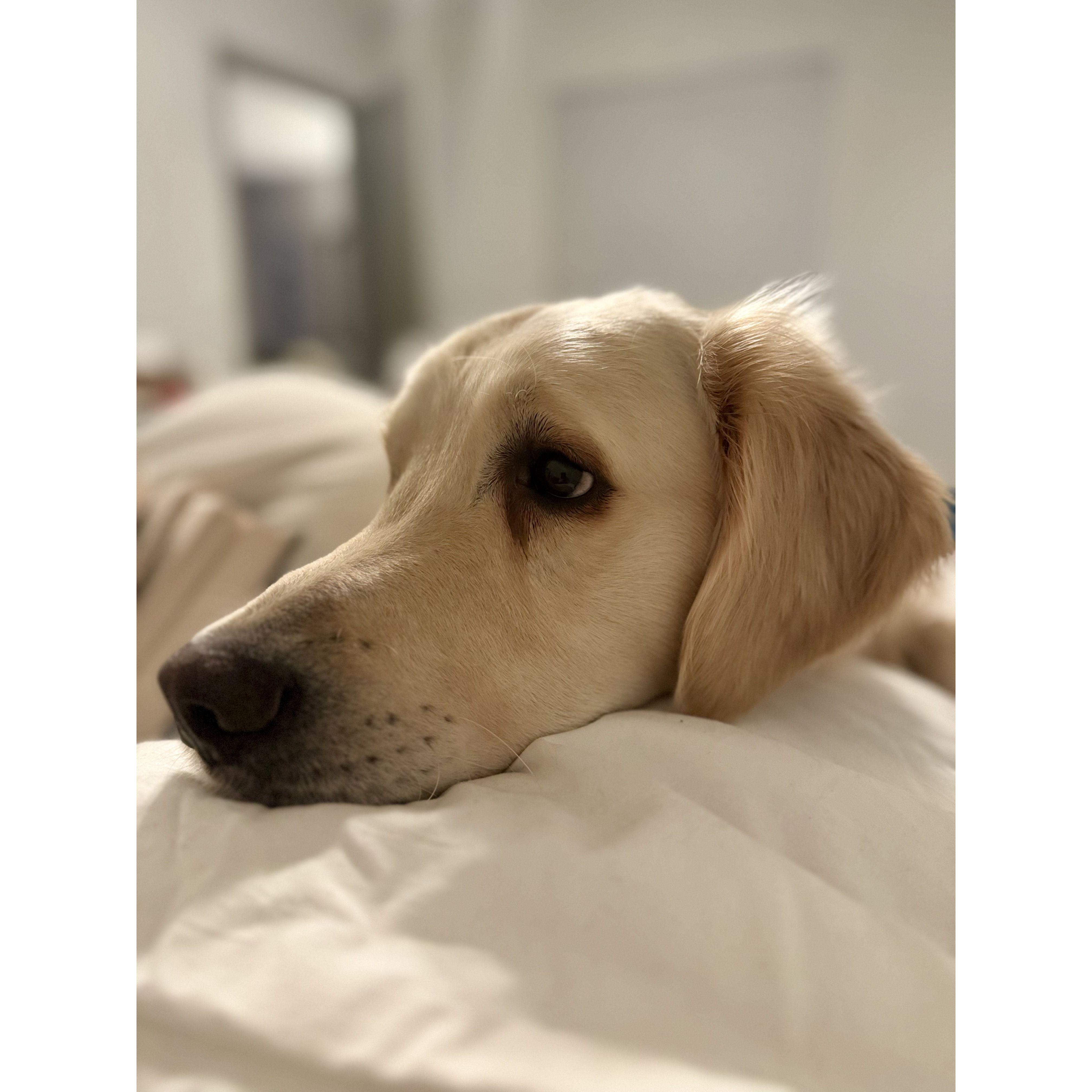 A morning cuddle.