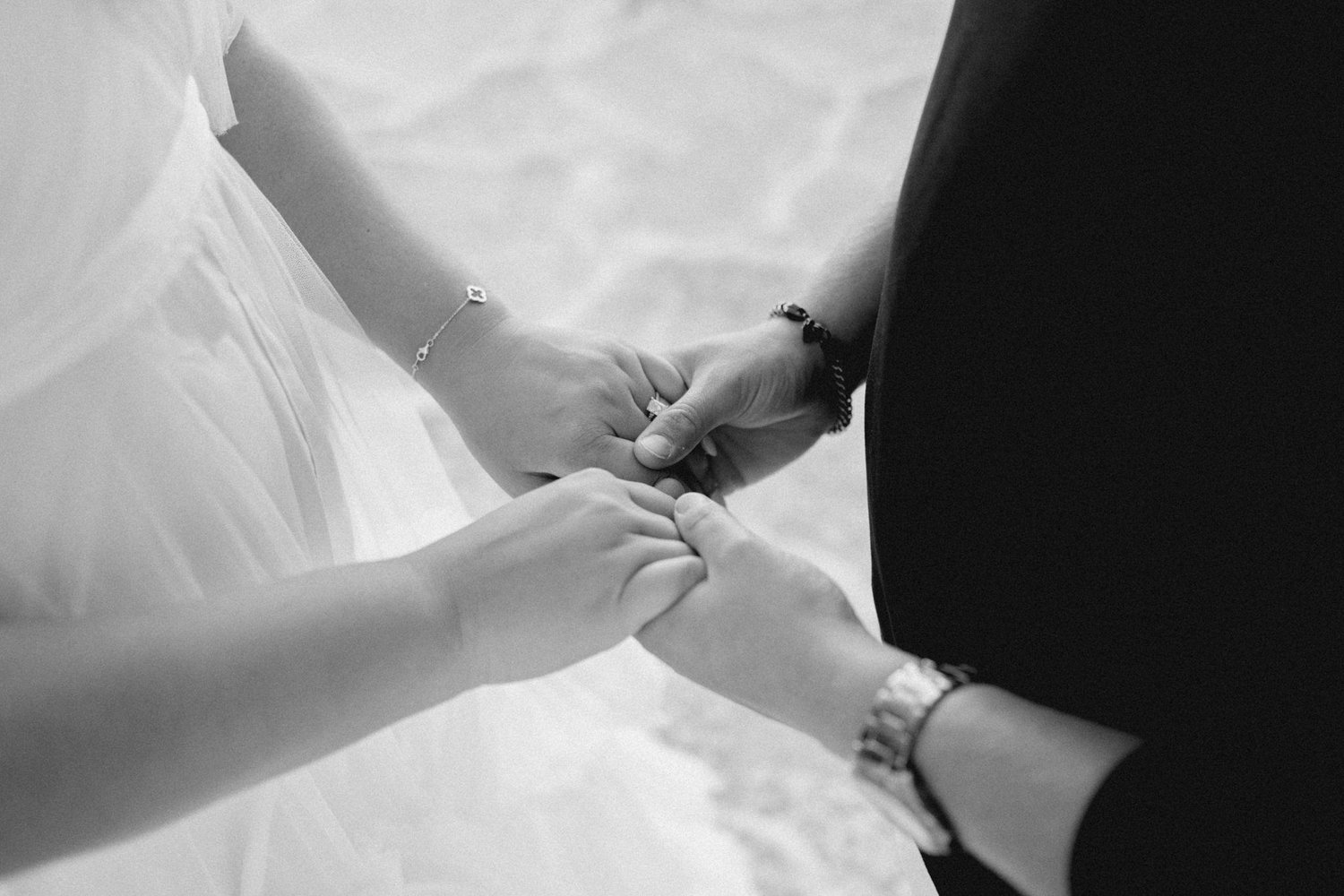 The Wedding Website of Elmira Aladinova and Edward McSpadden