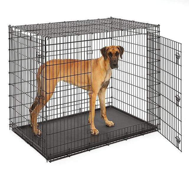 MidWest Homes for Pets XXL Giant Dog Crate | 54-Inch Long Ginormous Dog Crate Ideal for a Great Dane, Mastiff, St. Bernard & Other XXL Dog Breeds