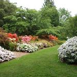 Arboretum Loop Trail