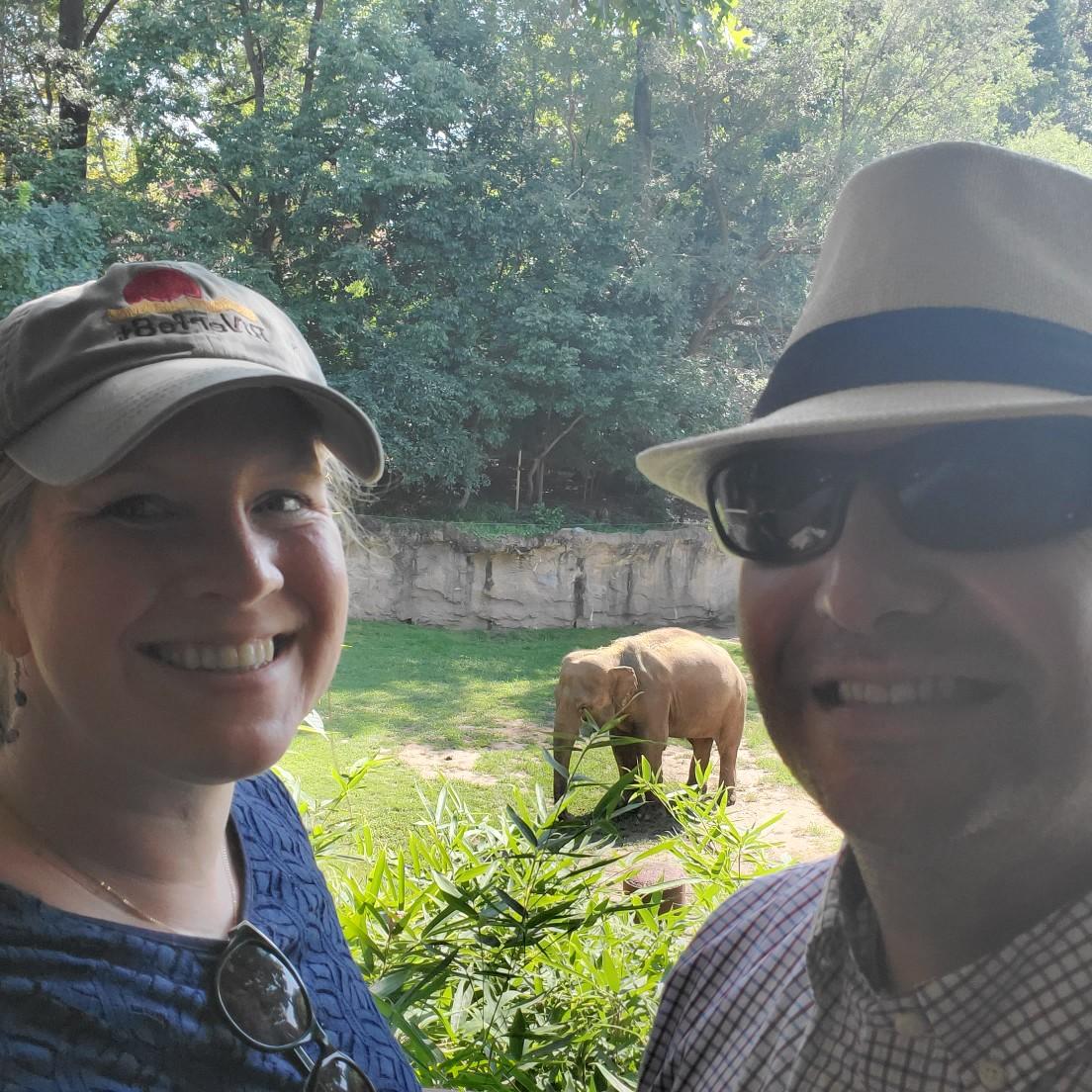 Elephant!