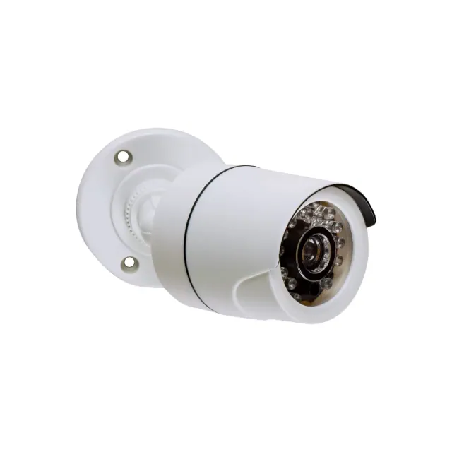 Sabre Fake Security Camera