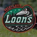Great Lakes Loons