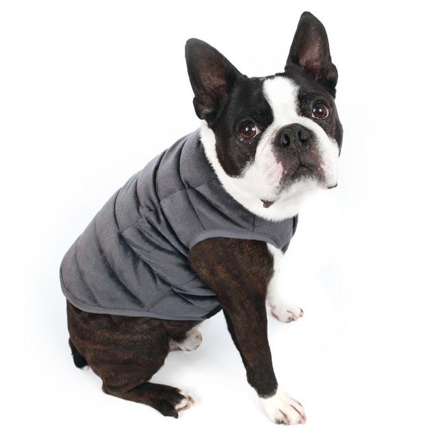 Therapedic® Medium Weighted Pet Vest in Grey