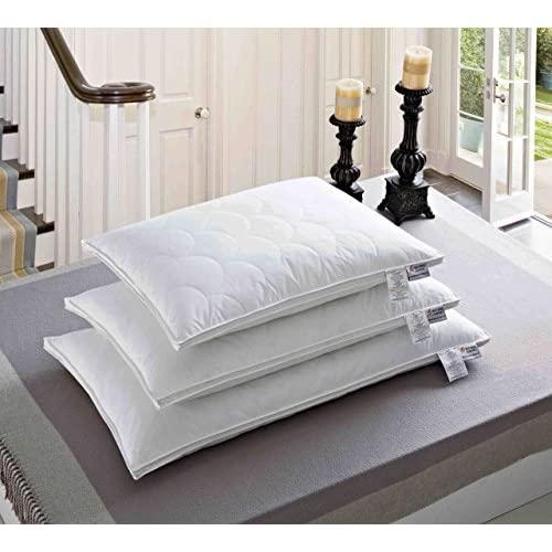 Natural Comfort Quilted Feather Billow Pillows, Queen