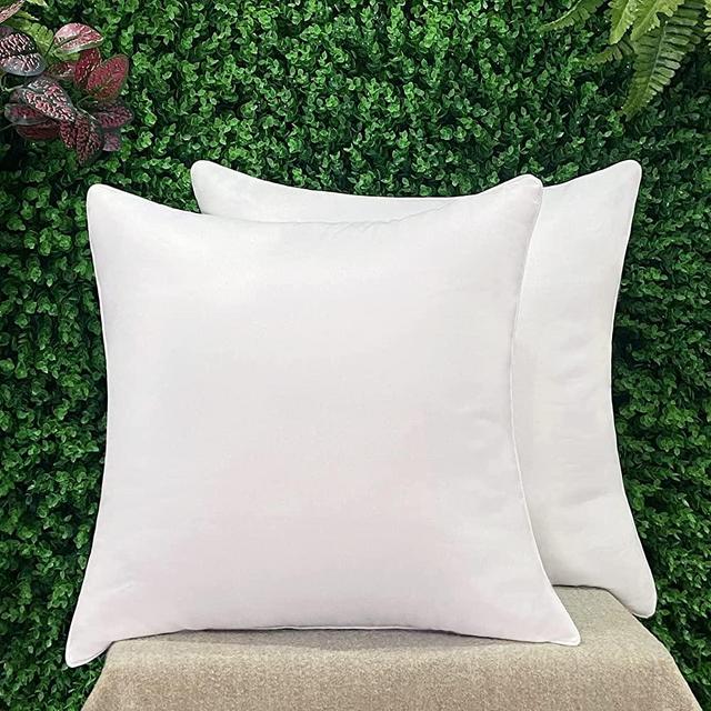 LYWEEM 18 x 18 Pillow Inserts Set of 2 Throw Pillow Insert for Couch Bed Hypoallergenic Stuffer Cushion White Square Sofa Decorative Pillows