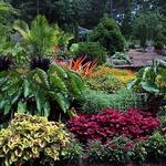 Duke Gardens Greenhouse