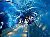 Newport Aquarium
