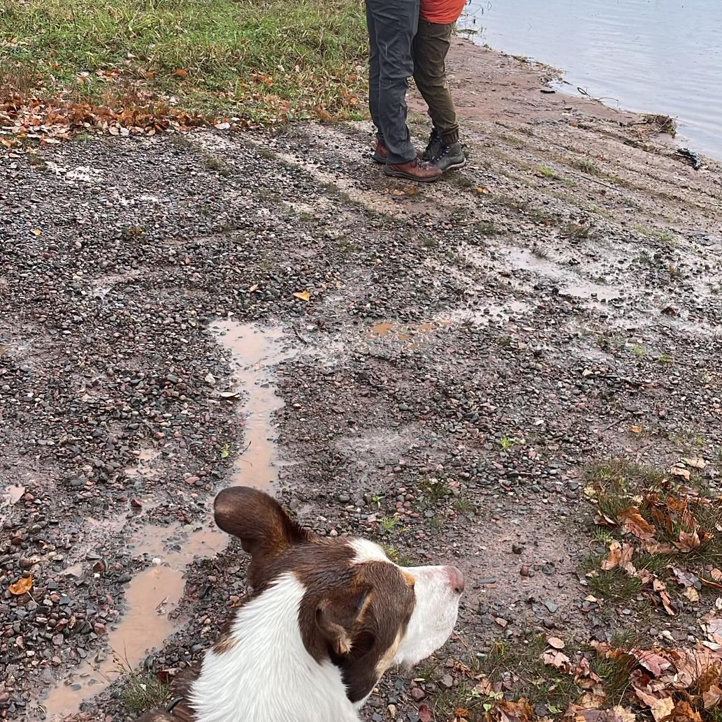 The proposal while agate hunting!
