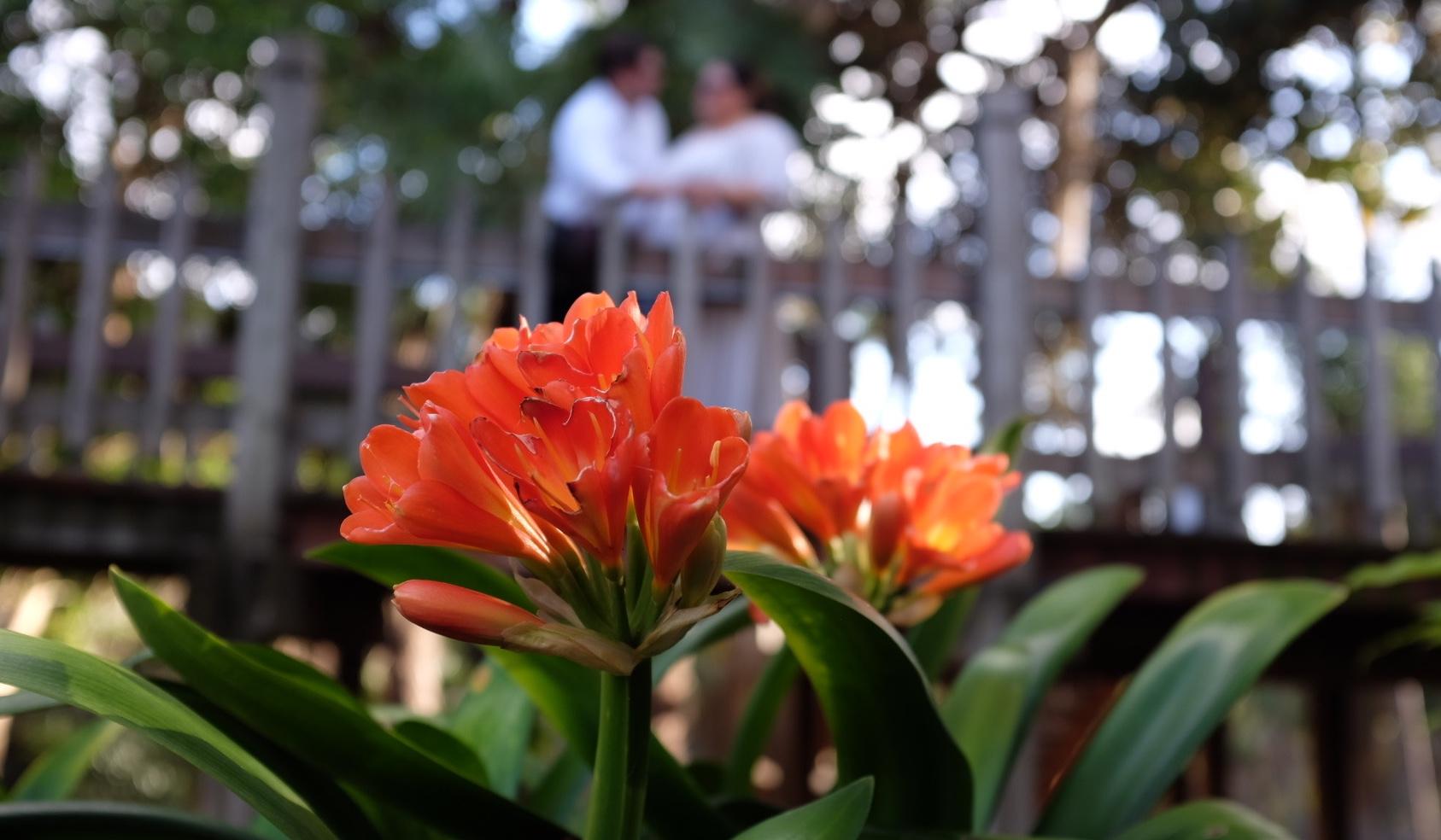 The Wedding Website of Natalie Reyes and Ernesto Lopez