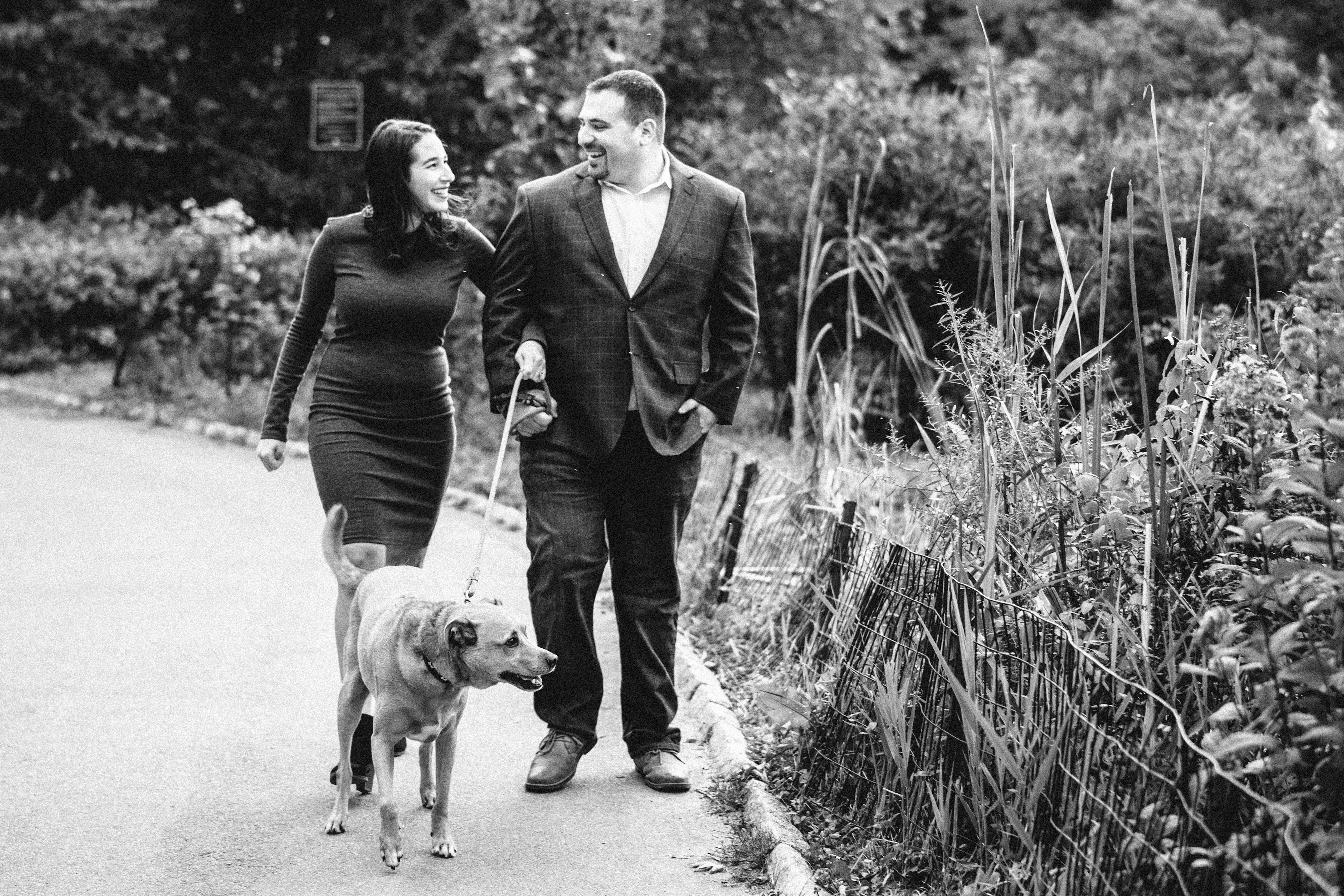 30954f68-1da2-4818-bb44-838c57616ad2