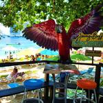Margaritaville Ocho Rios
