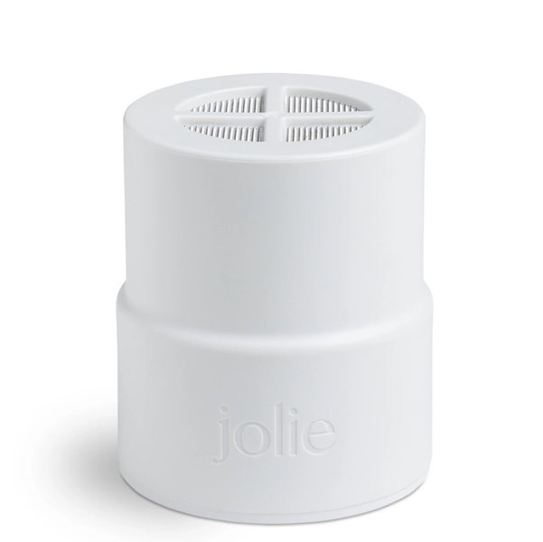 Shower Head Filter Replacement