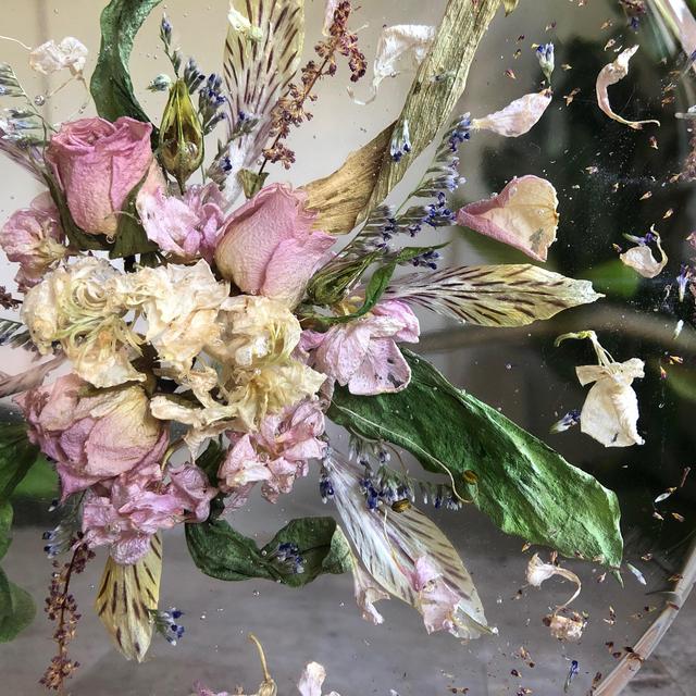 Dancing Thistles | Flower Preservation Charlotte, NC