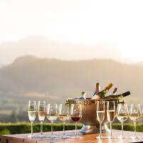 Wine tasting in South Africa