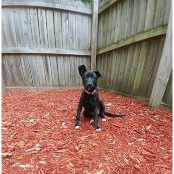 11. 15. 17
Emma at 5 months old.