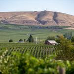 Wine Tasting in the Red Mountatin AVA