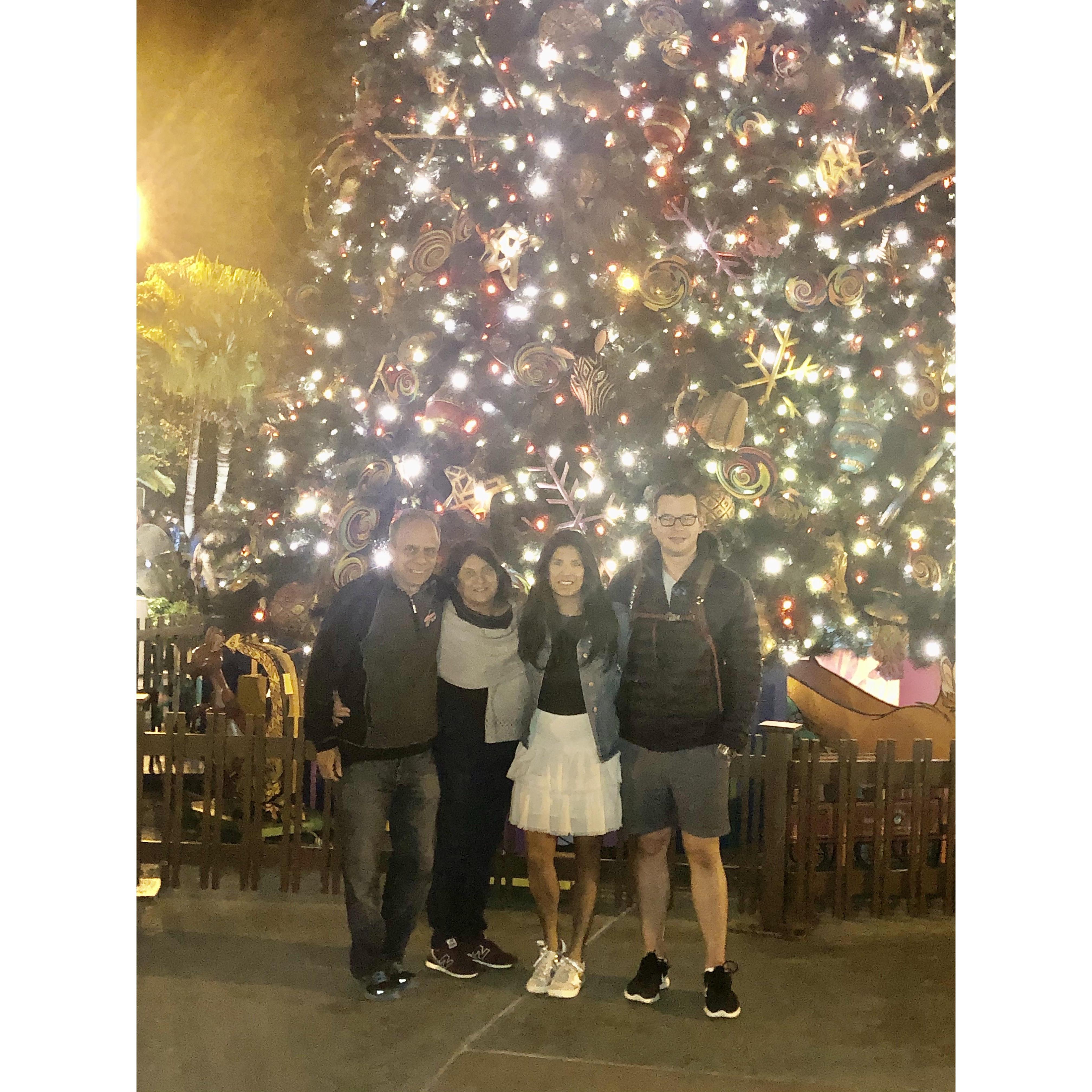 Animal Kingdom 2019.