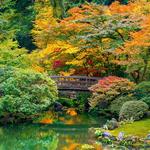 Portland Japanese Garden