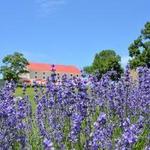 Springfield Manor Winery Distillery Brewery