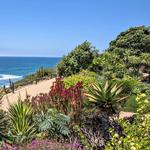 Swami's Meditation Gardens