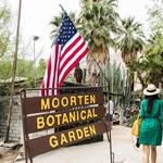 Moorten Botanical Garden